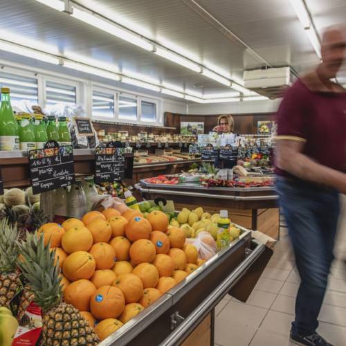 Intérieur Magasin_Les jardins de la côte rôtie_19