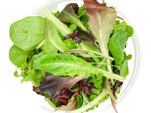 MESCLUN jardins d ela cote rotie Ampuis